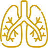 Respiratory-Virus----Clinical-Trials-In-Tampa