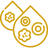 leukemia---Paid-Clinical-Trials-in-Tampa