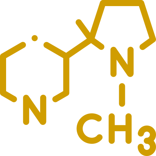 nicotine-Paid-Clinical-Trials-in-Tampa